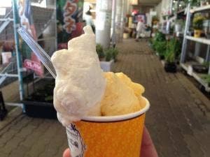 JA紀の里 ファーマーズマーケット めっけもん広場