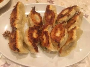 友ちゃん餃子