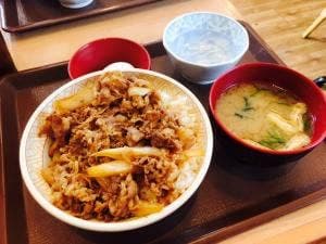 すき家 235号静内店