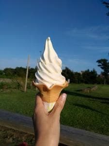 もてなし家