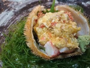 翁鮨
