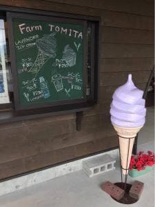 ファーム冨田 ラベンダーイースト