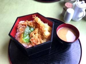 やる気いっしん