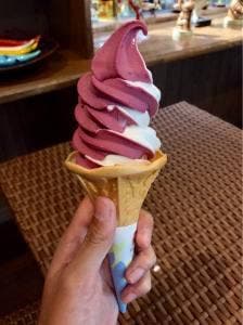 ブルーベリー農園 森の畑 シャン・ドゥ・ボア