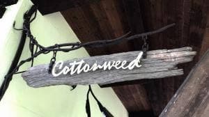 Café Cottonweed