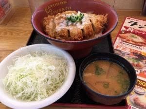 かつさと 豊川151号店