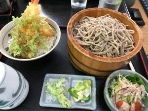 樹庭夢