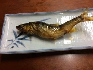 郡上八幡観光ヤナ