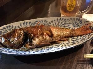 Kaji矢