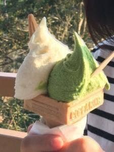 まつだ牧場ミルク工房