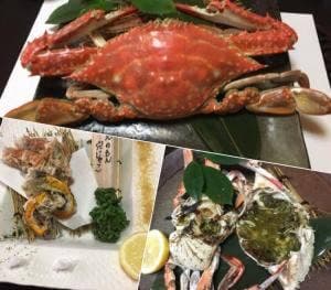茶寮 海旬