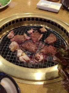 麗陽