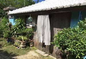 ヤスとカマーの店