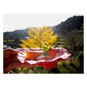 パラダイス・カフェ