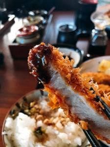 とんかつ神楽坂さくら 馬事公苑店