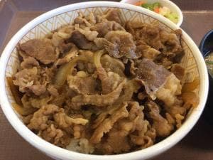 すき家 寒川宮山店