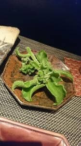 伊賀肉鉄板ステーキ 胡楽人