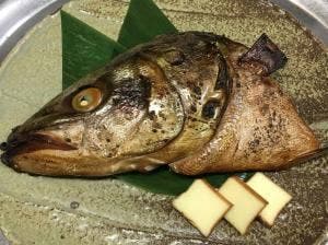 季節料理 和光