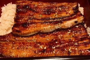 うなぎ小椋 道後店