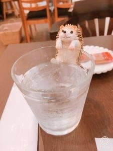 ギャラリーカフェ エソラⅡ
