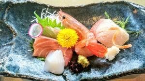 嵯峨鳥居本 遊山