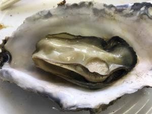 日の丸食堂 道の駅にしめ はまなすの里