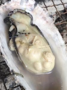 唐泊恵比須かき カキ小屋