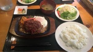どんぐり11