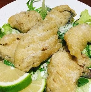 カフェダイニングgrado.