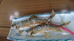 浦佐やな