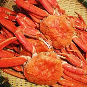 湯快リゾート 嬉野館