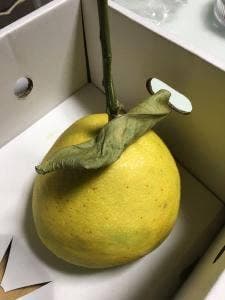 ブランシェ かごしままちの駅