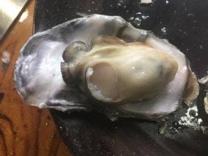 滝の観音茶屋 てっぺい