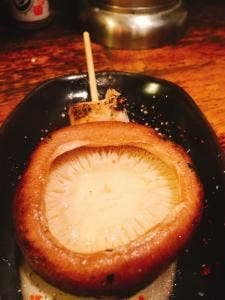 鳥むすめ