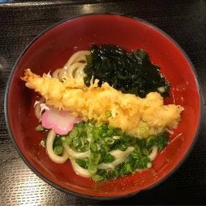 黒潮うどん