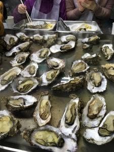 舞鶴かき小屋 美味星