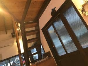 shop&cafe があぶう わはは牧場