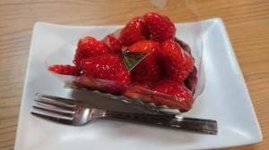 樹蘭
