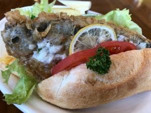 シルバーレイククラブ プラスティー