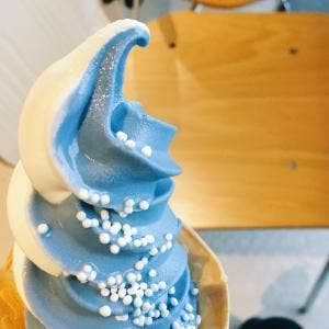 ドリンクスタンド SEASAW 海遊館店