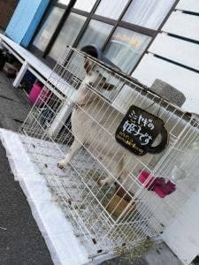 まるせきカフェ