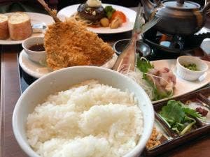 銀座ライオン 小田原トザンイースト店