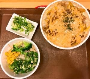 すき家 116号吉田店