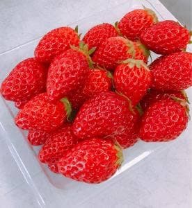 マリモファーム