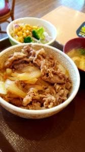 すき家 川崎塩浜店