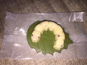 かいこの王国 富岡城町店