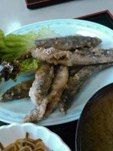 むつごろう
