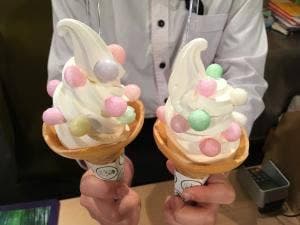 嵐山SASAYAIORI+