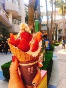 CAFE & SOFTCREAM マザー牧場 ららぽーとTOKYO-BAY店