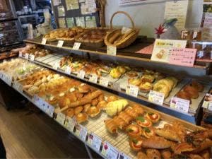 パンビオロジック空我